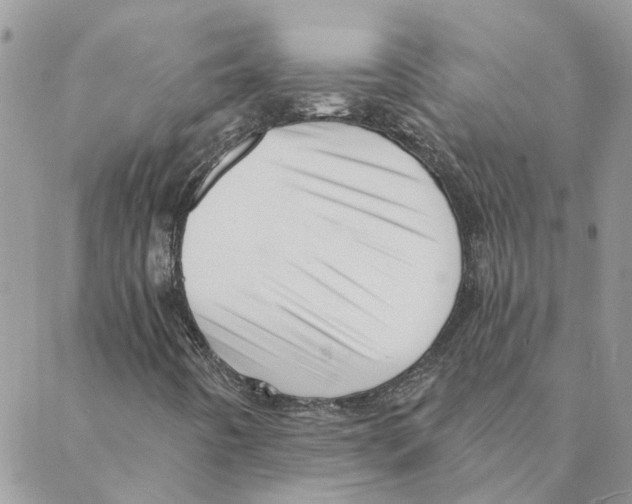 X0000088201442200706121729