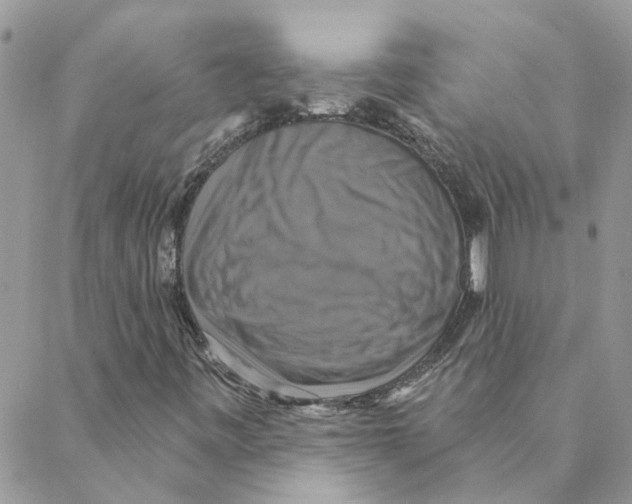 X0000088201443200706121729