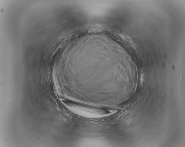X0000088201445200706121729