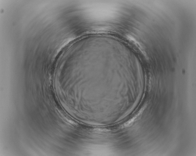 X0000088201449200706121729