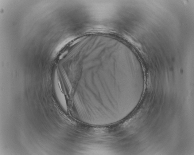 X0000088201453200706121729