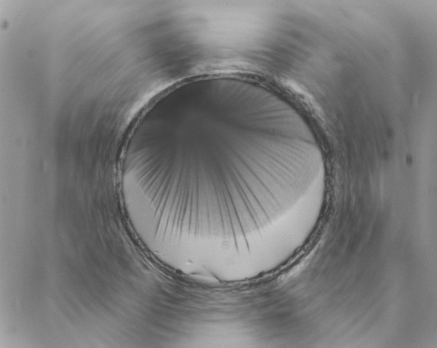X0000088201457200706121728