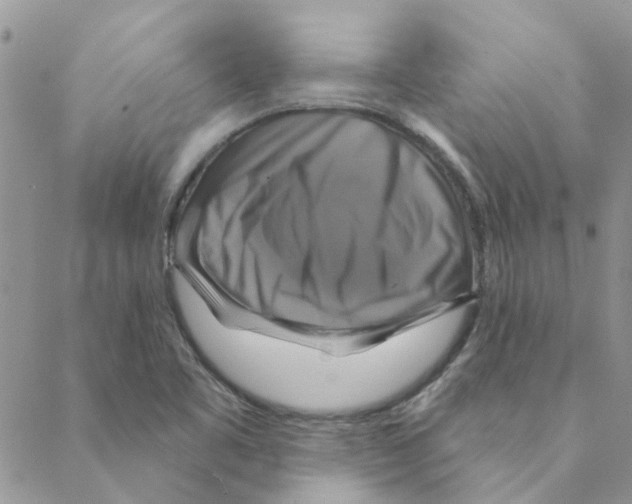 X0000088201461200706121728