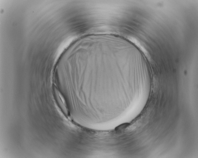 X0000088201477200706121728