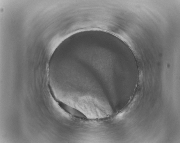 X0000088201524200706121728