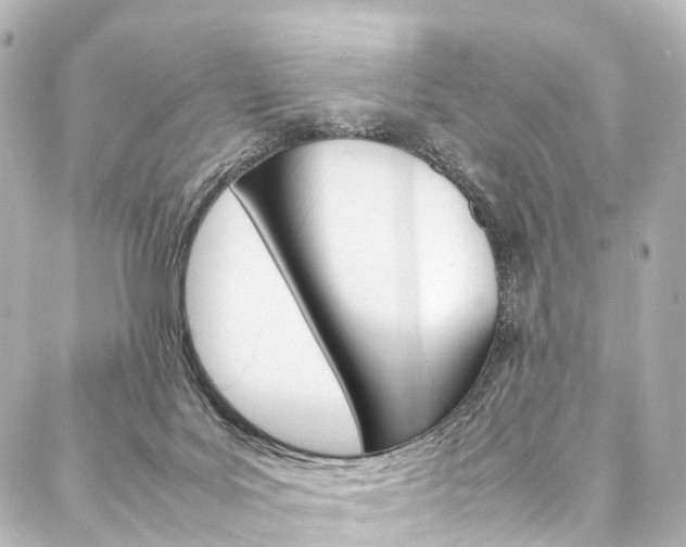 X0000088210027200705151103
