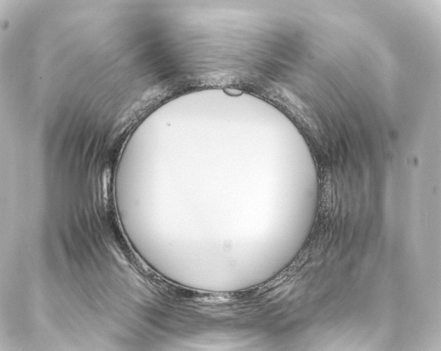 X0000088210118200705151101
