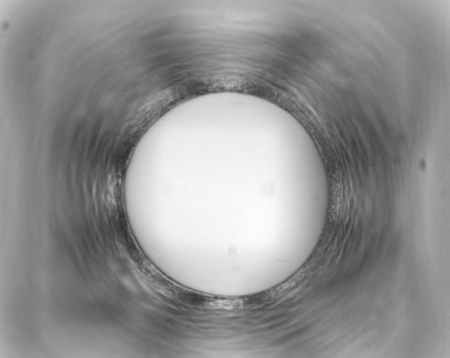 X0000088210126200705151101