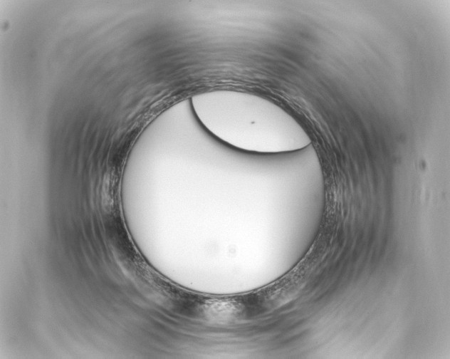 X0000088210218200705151100
