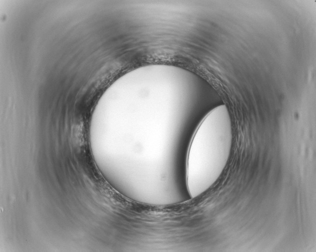 X0000088210224200705151059