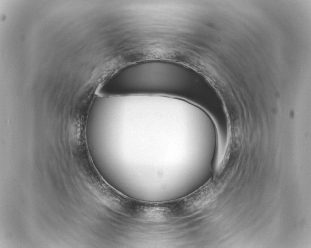 X0000088210268200705151059