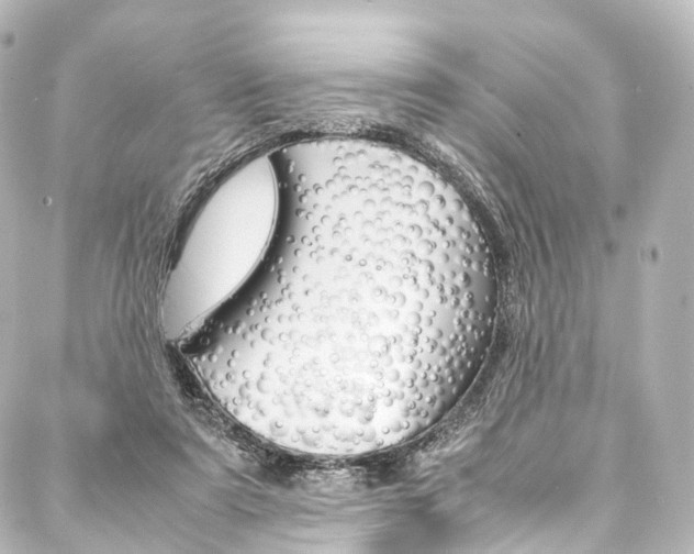 X0000088210307200705151058