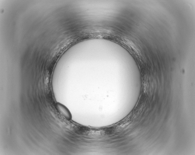 X0000088210314200705151058