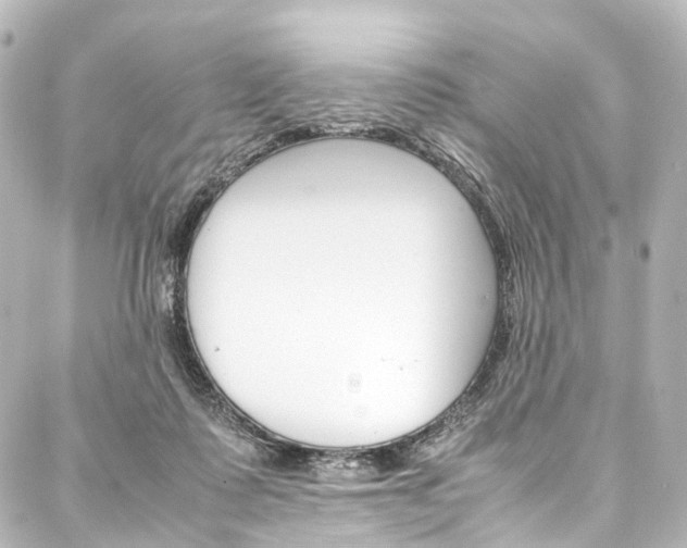 X0000088210315200705151058