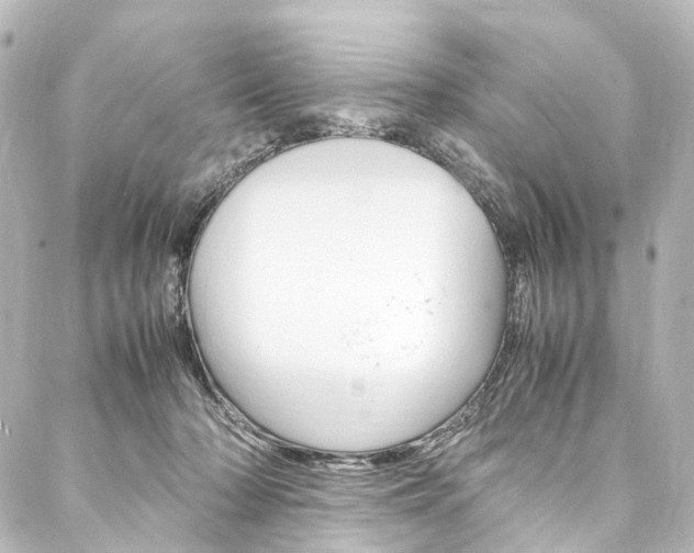 X0000088210318200705151058