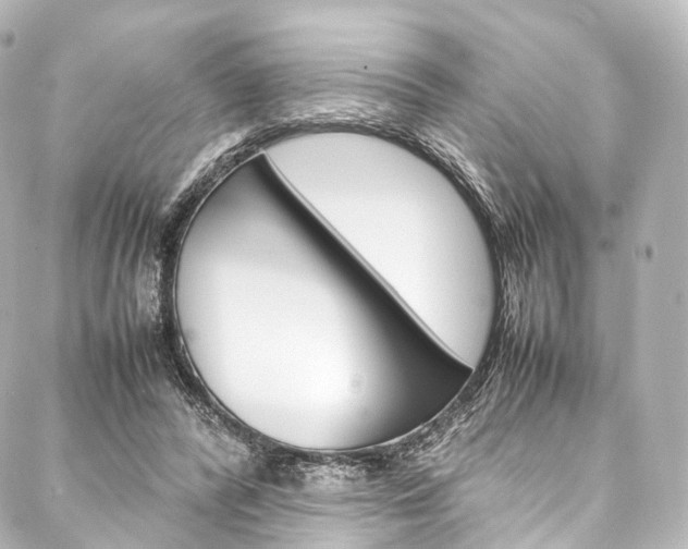 X0000088210400200705151057