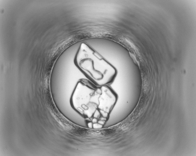 X0000088210405200705151056
