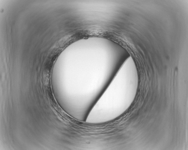 X0000088210413200705151056