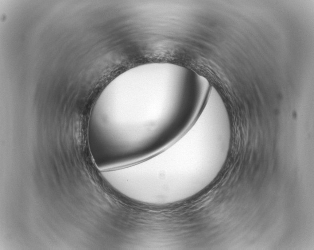 X0000088210416200705151056