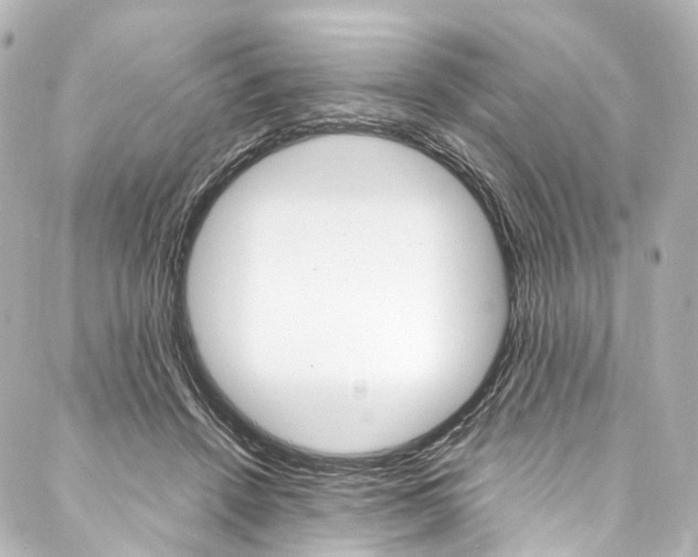 X0000088210456200705151055