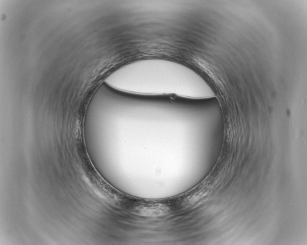 X0000088210459200705151055
