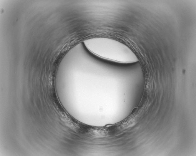 X0000088210466200705151056