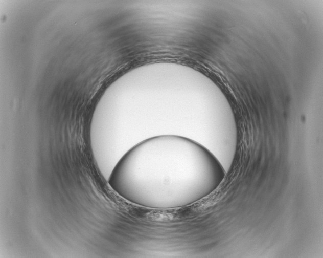 X0000088210512200705151054