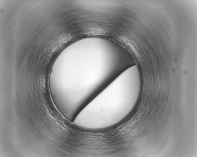 X0000088210539200705151054
