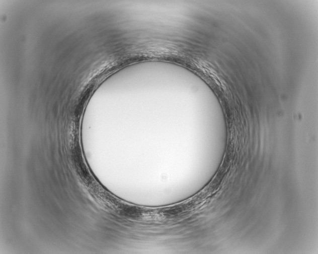 X0000088210591200705151053