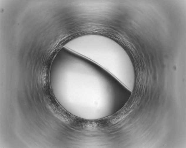 X0000088210600200705151053