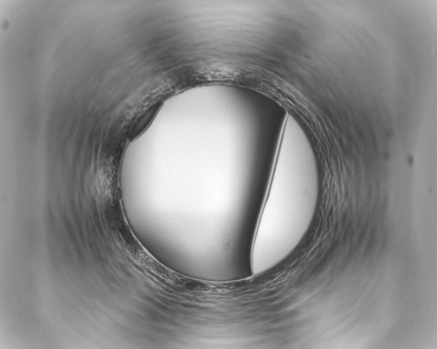 X0000088210604200705151053
