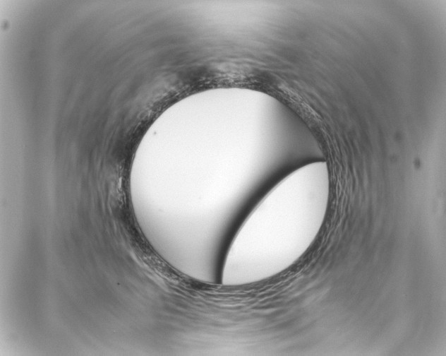 X0000088210615200705151053