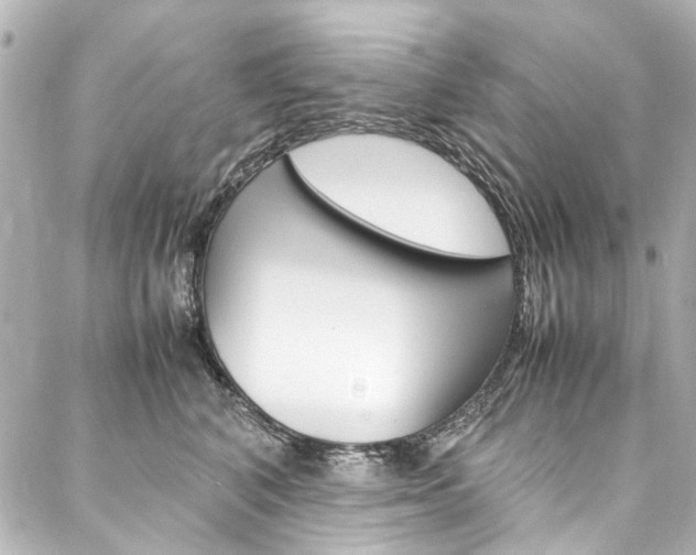 X0000088210616200705151053