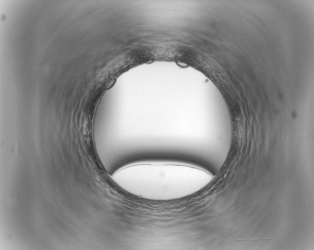 X0000088210619200705151053