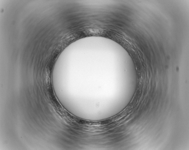 X0000088210651200705151052