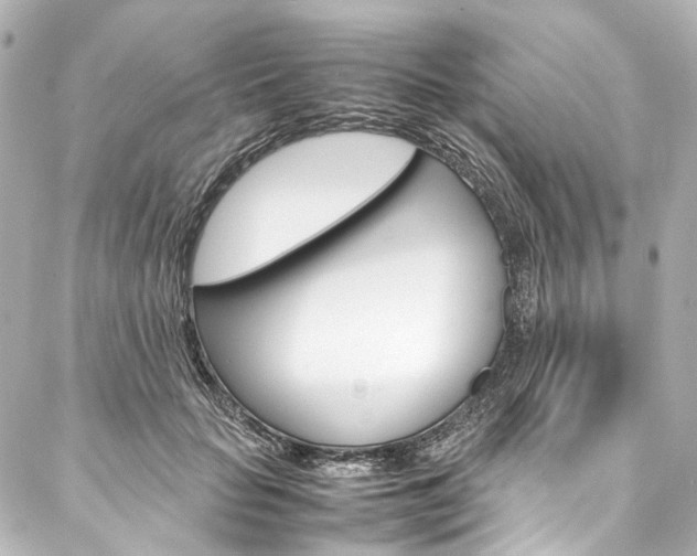 X0000088210653200705151052