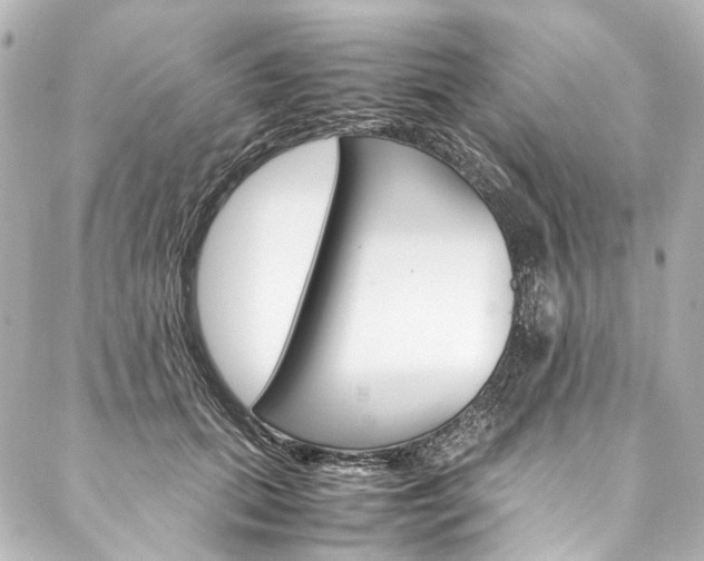X0000088210655200705151052