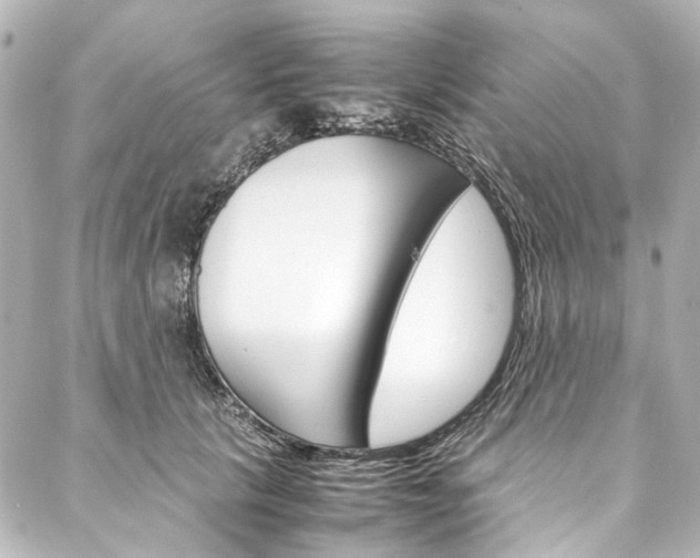 X0000088210657200705151052