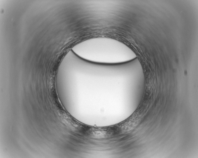 X0000088210658200705151052