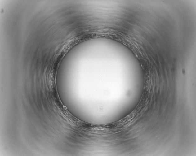 X0000088210708200705151051