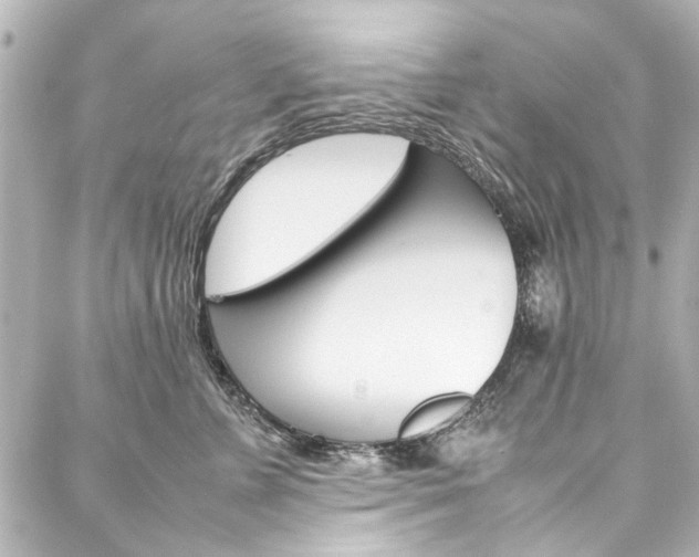 X0000088210715200705151051