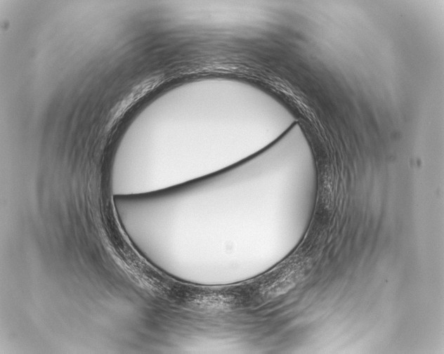 X0000088210734200705151050