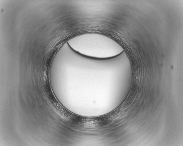 X0000088210746200705151051
