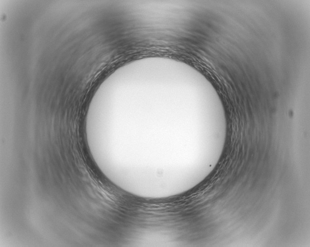 X0000088210750200705151051