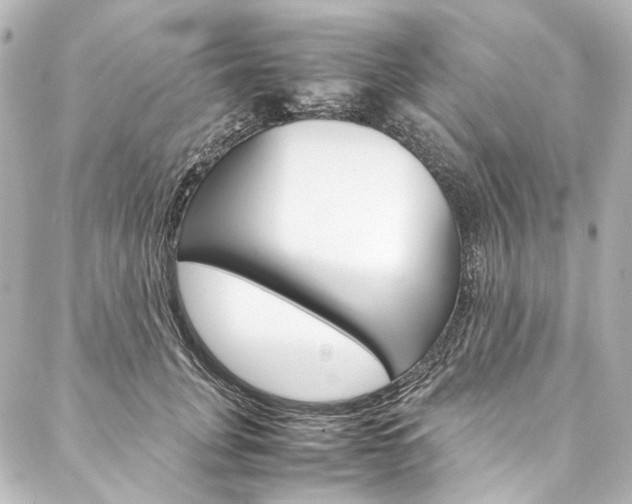 X0000088210751200705151051