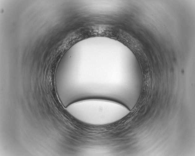 X0000088210754200705151051