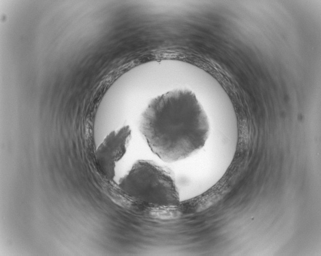 X0000088210761200705151051