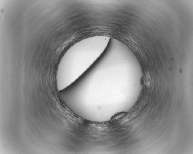 X0000088210763200705151051