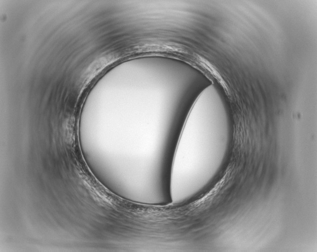 X0000088210786200705151050