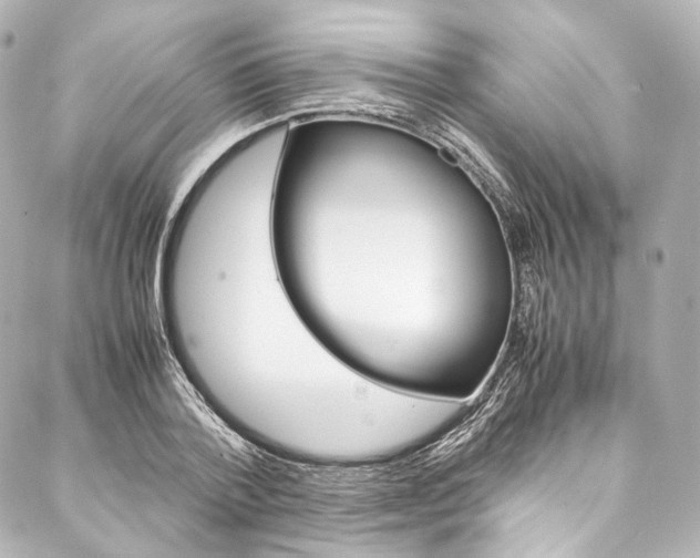 X0000088210788200705151050